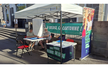 Le bridge club de Riom recrute !